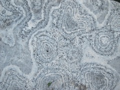 Textures: Concrete / Stone (58)